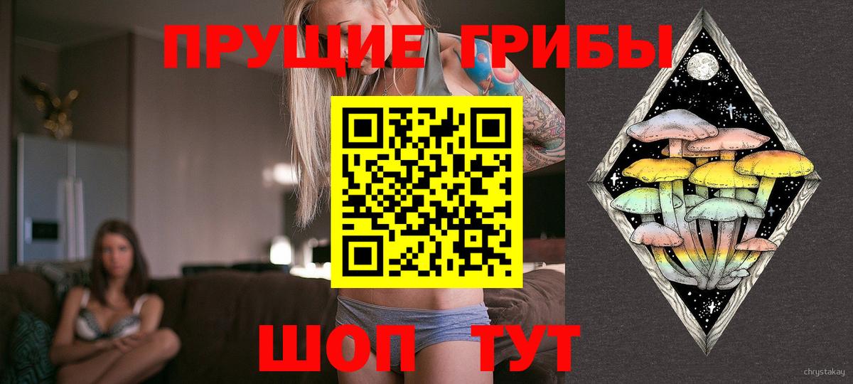 Галлюциногенные грибы GOLDEN TEACHER Узловая