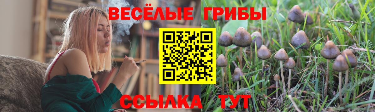 Псилоцибиновые грибы MAGIC MUSHROOMS  Вход с VPN  Узловая 
